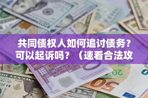 济南共同债权人如何追讨债务？可以起诉吗？（速看合法攻略）