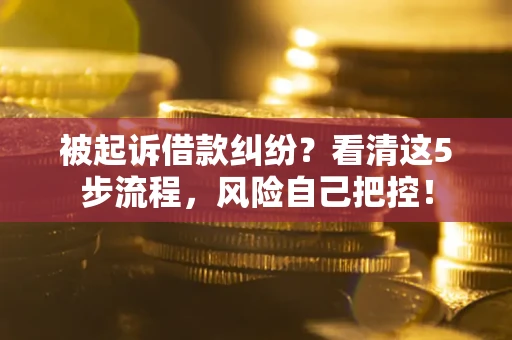 济南被起诉借款纠纷？看清这5步流程，风险自己把控！